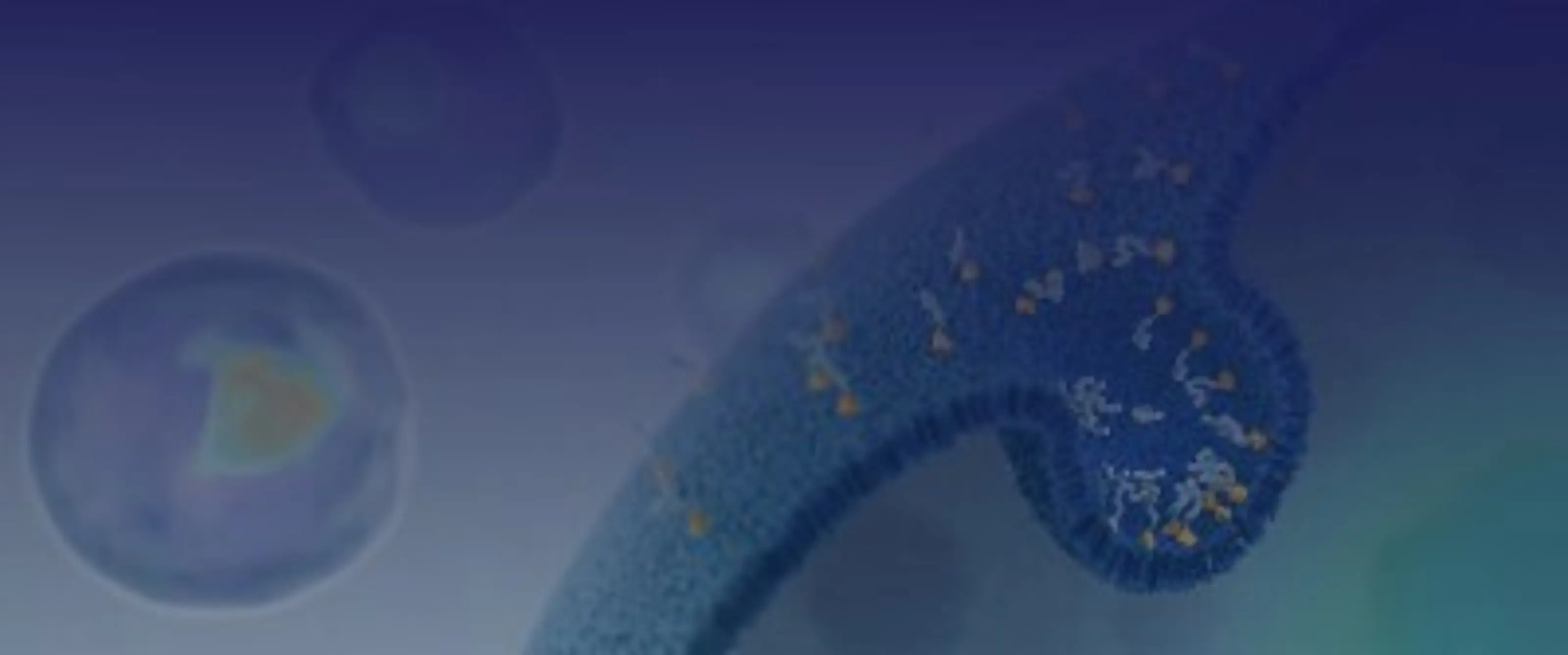 Entrada is making Intracellular Therapeutics A Reality