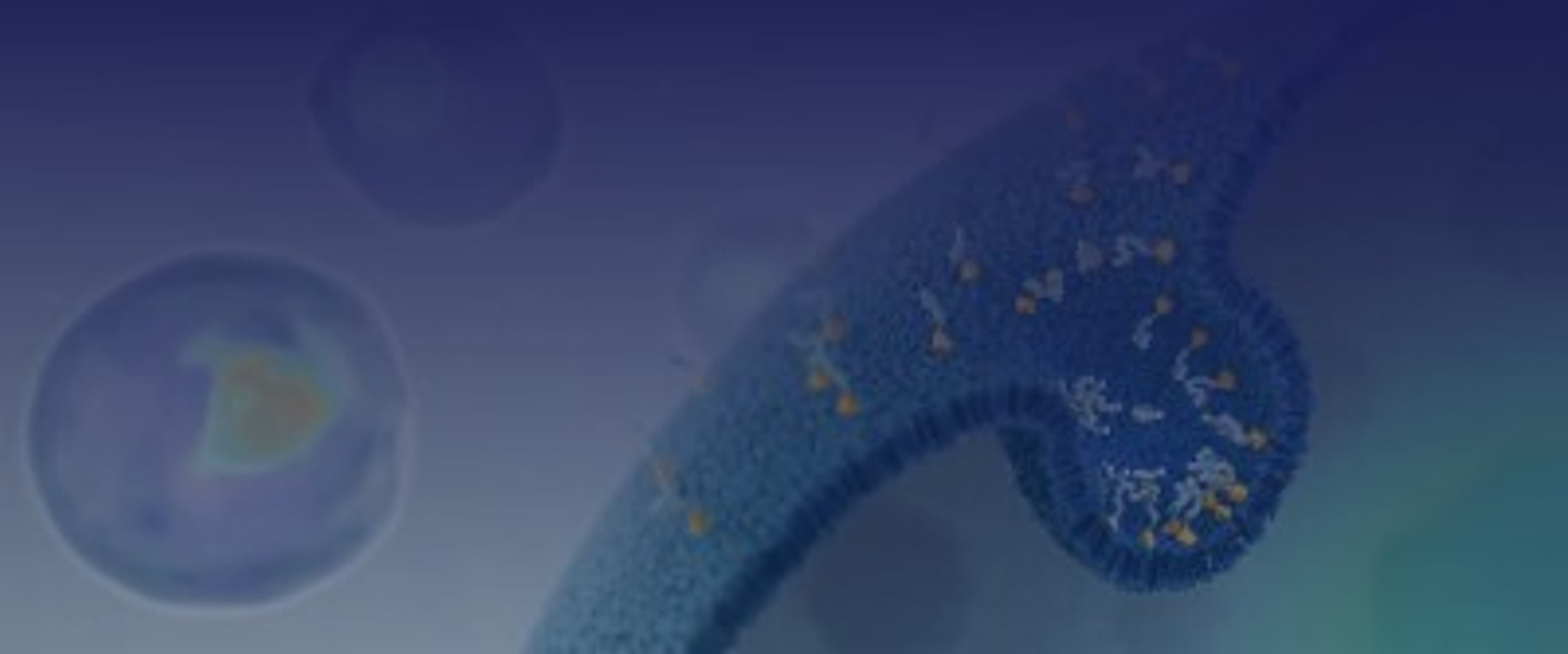 Entrada is making Intracellular Therapeutics A Reality